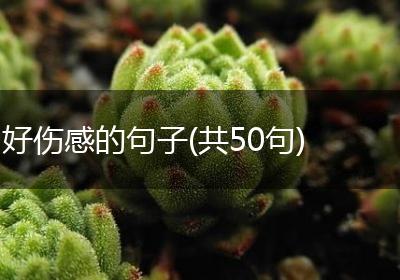 好伤感的句子(共50句)