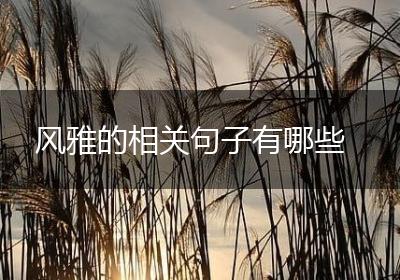 风雅的相关句子有哪些