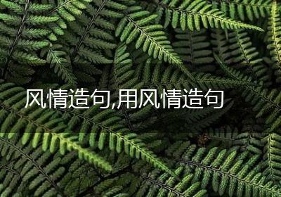 风情造句,用风情造句