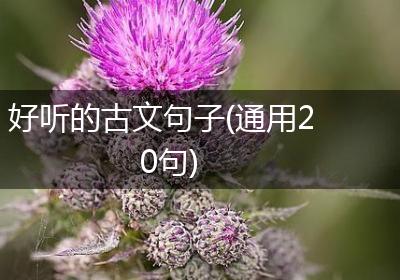 好听的古文句子(通用20句)