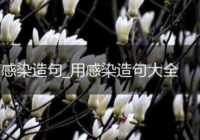 感染造句_用感染造句大全