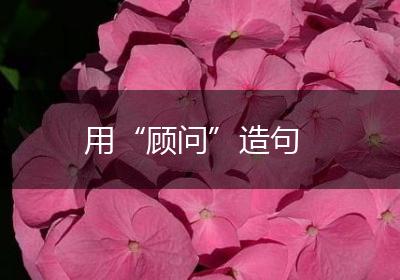 用“顾问”造句