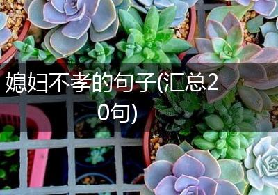 媳妇不孝的句子(汇总20句)