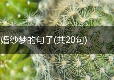 婚纱梦的句子(共20句)