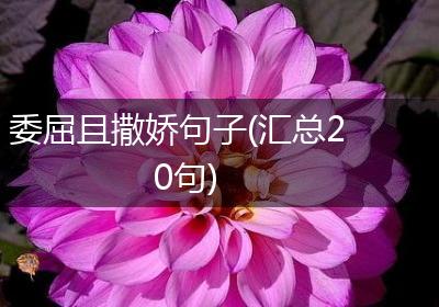 委屈且撒娇句子(汇总20句)