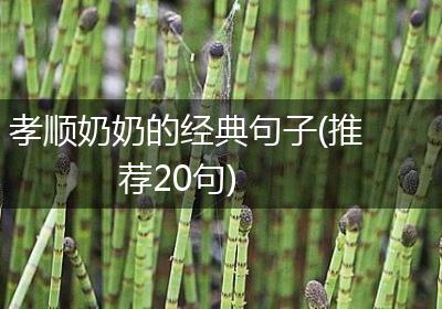 孝顺奶奶的经典句子(推荐20句)