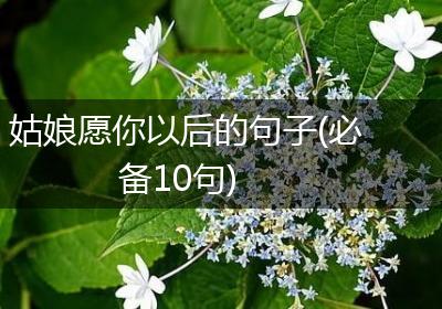 姑娘愿你以后的句子(必备10句)