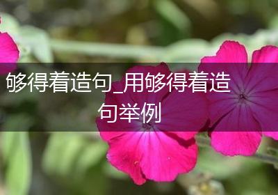 够得着造句_用够得着造句举例