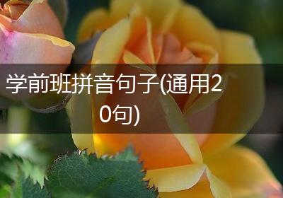 学前班拼音句子(通用20句)