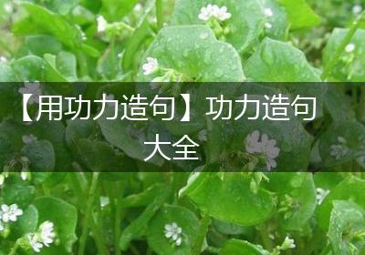 【用功力造句】功力造句大全