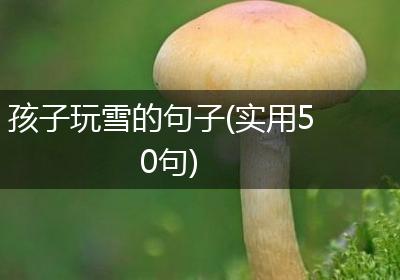 孩子玩雪的句子(实用50句)
