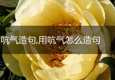 吭气造句,用吭气怎么造句