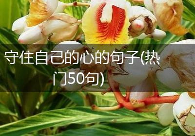 守住自己的心的句子(热门50句)