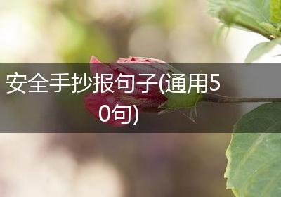 安全手抄报句子(通用50句)
