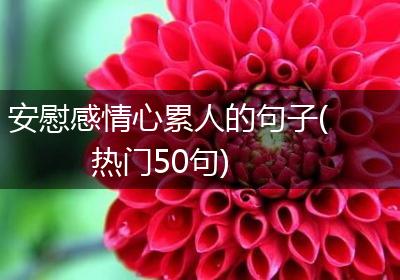 安慰感情心累人的句子(热门50句)