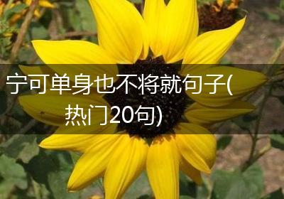 宁可单身也不将就句子(热门20句)