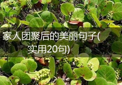 家人团聚后的美丽句子(实用20句)