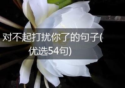 对不起打扰你了的句子(优选54句)