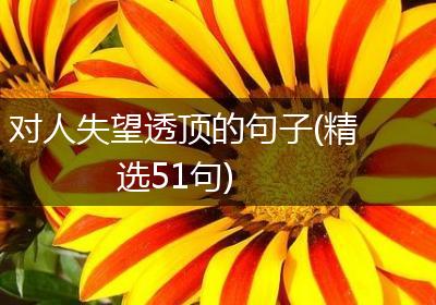 对人失望透顶的句子(精选51句)