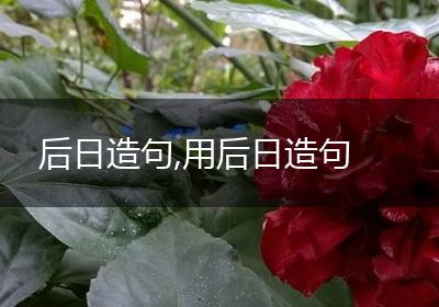 后日造句,用后日造句