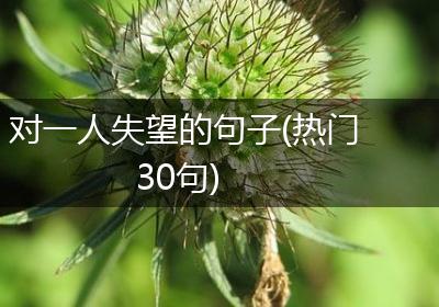 对一人失望的句子(热门30句)