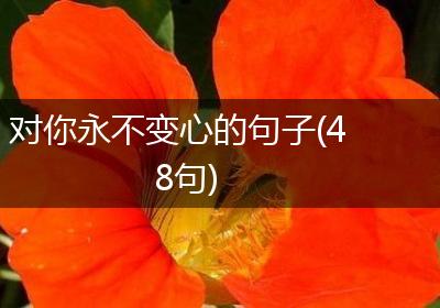 对你永不变心的句子(48句)