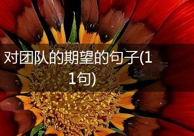 对团队的期望的句子(11句)