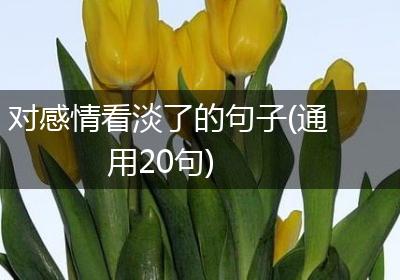 对感情看淡了的句子(通用20句)