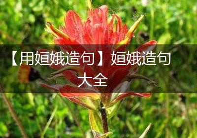 【用姮娥造句】姮娥造句大全