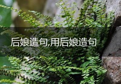 后娘造句,用后娘造句