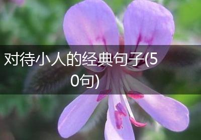 对待小人的经典句子(50句)