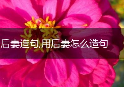 后妻造句,用后妻怎么造句