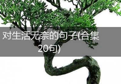 对生活无奈的句子(合集20句)