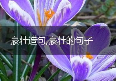 豪壮造句,豪壮的句子