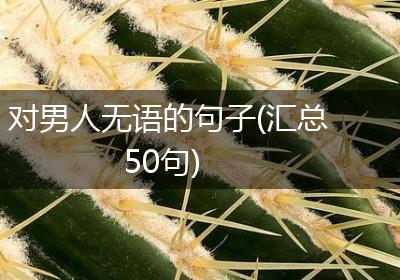 对男人无语的句子(汇总50句)