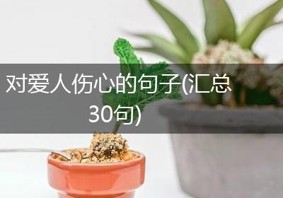 对爱人伤心的句子(汇总30句)