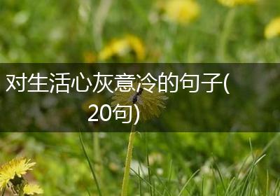 对生活心灰意冷的句子(20句)