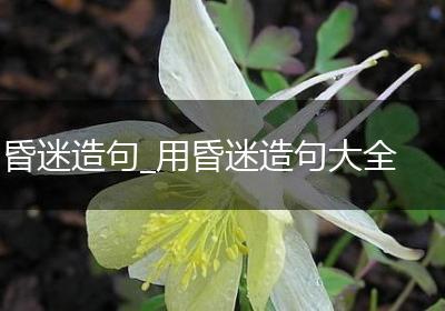 昏迷造句_用昏迷造句大全
