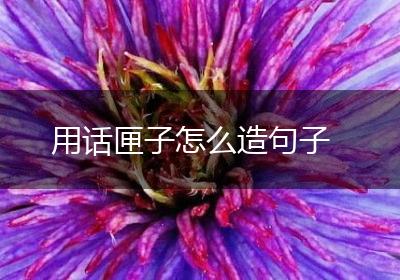 用话匣子怎么造句子