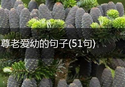 尊老爱幼的句子(51句)