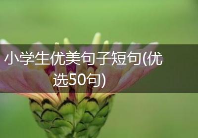 小学生优美句子短句(优选50句)