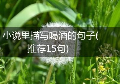 小说里描写喝酒的句子(推荐15句)