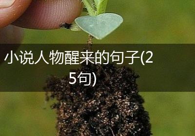 小说人物醒来的句子(25句)