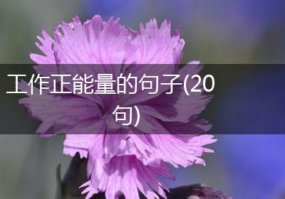 工作正能量的句子(20句)
