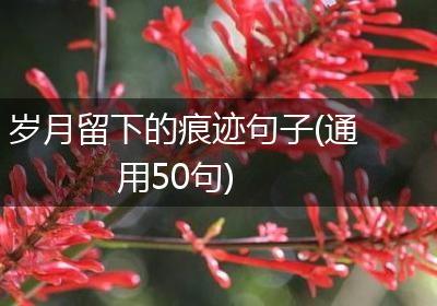 岁月留下的痕迹句子(通用50句)