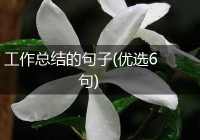 工作总结的句子(优选6句)