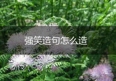 强笑造句怎么造