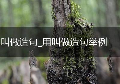 叫做造句_用叫做造句举例