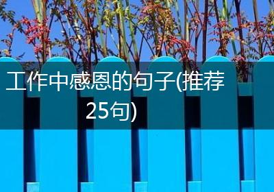 工作中感恩的句子(推荐25句)