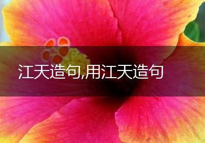 江天造句,用江天造句